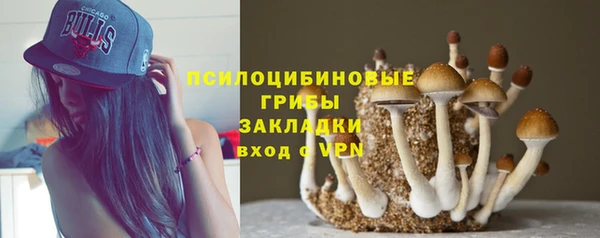 MESCALINE Богородск